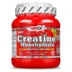 AMIX Creatine Monohydrate Micronized