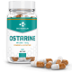 BIO Molecule Ostarine (MK-2866)