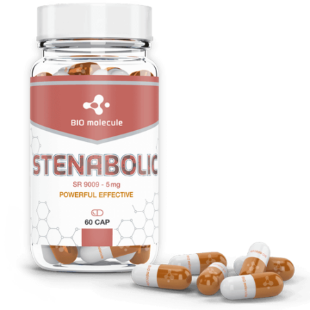 BIO Molecule Stenabolic (SR 9009)