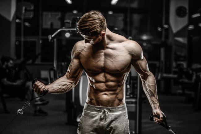 Kann Man Creatin Mit Protein Shake Mischen Creatin Shakes richtig mischen | fatburners.at