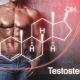 Testosteronmangel - Symptome, Ursachen & Testosteron erhöhen